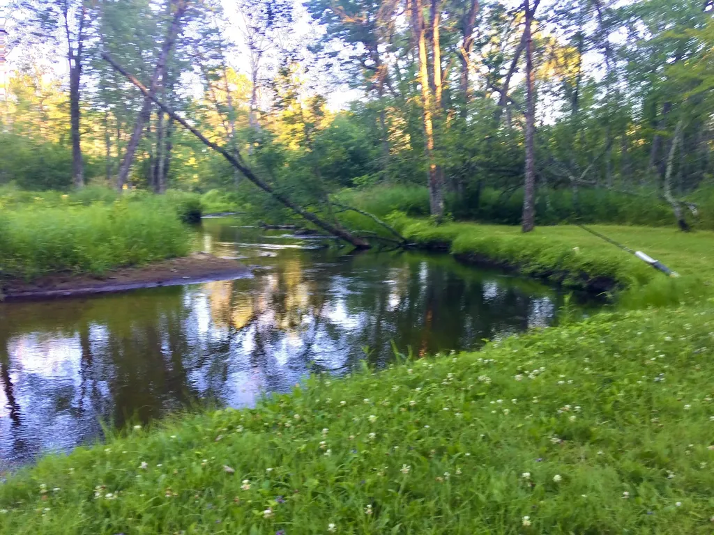 7 W 4 Mile Road Peacock Township MI 49656