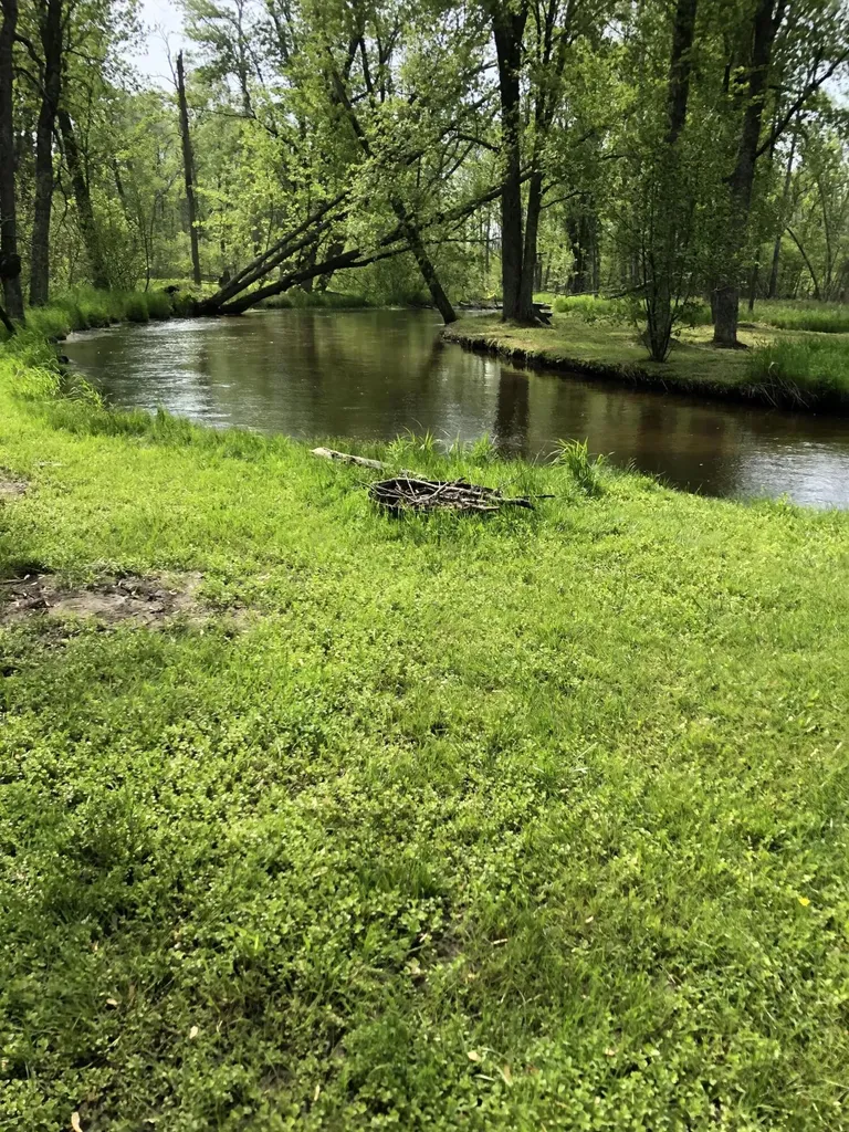7 W 4 Mile Road Peacock Township MI 49656