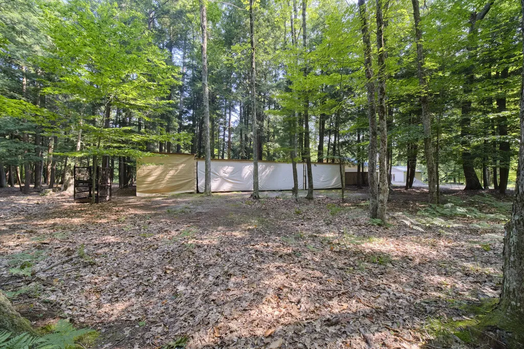 9670 S County Line Road Stronach Township MI 49660