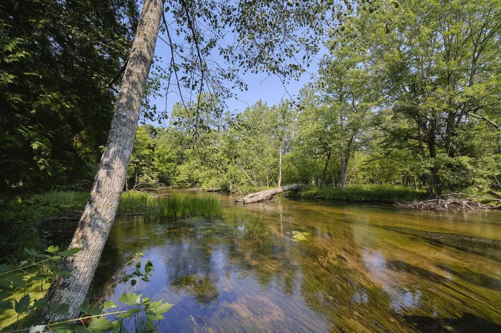 9670 S County Line Road Stronach Township MI 49660