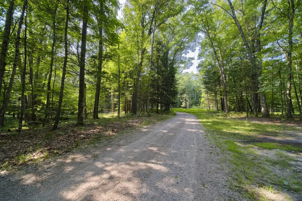 9670 S County Line Road Stronach Township MI 49660