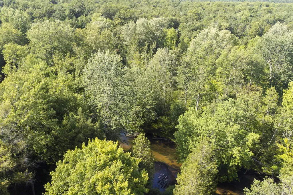 9670 S County Line Road Stronach Township MI 49660