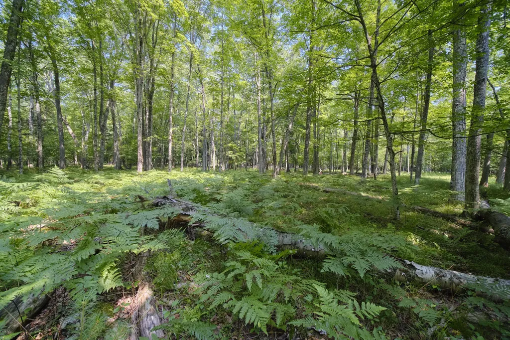 9670 S County Line Road Stronach Township MI 49660