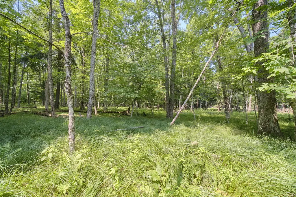9670 S County Line Road Stronach Township MI 49660
