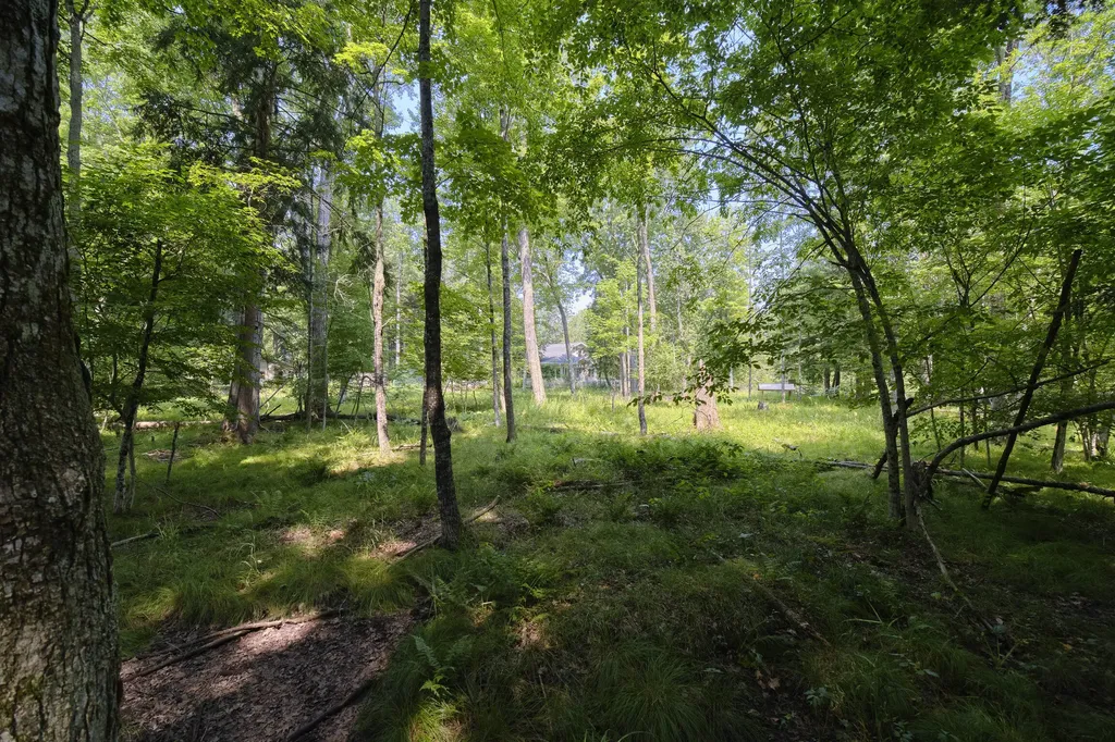 9670 S County Line Road Stronach Township MI 49660