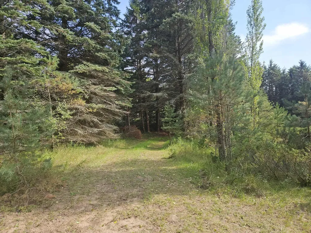 928 Pilgrim Highway Crystal Lake Township MI 49635