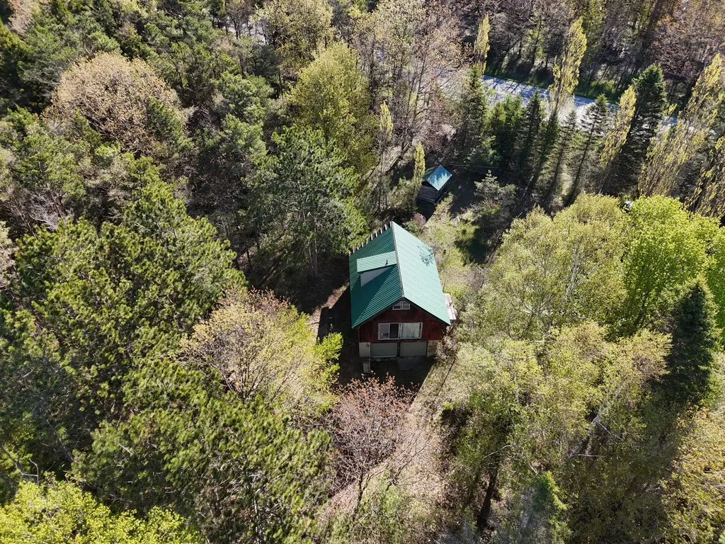928 Pilgrim Highway Crystal Lake Township MI 49635