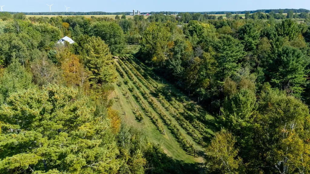 7397 S Pere Marquette Highway Summit Township MI 49449