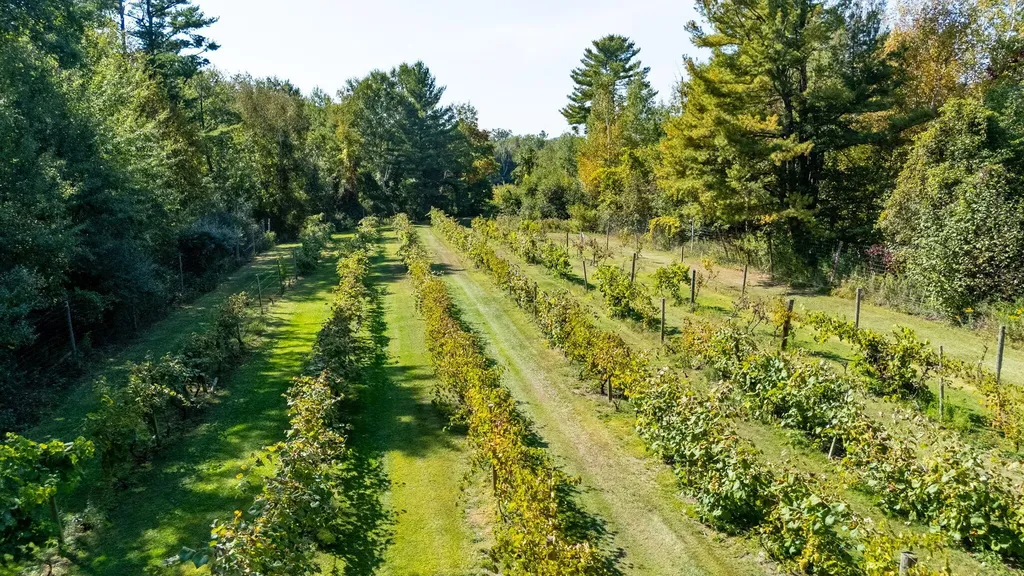 7397 S Pere Marquette Highway Summit Township MI 49449
