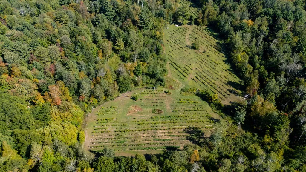 7397 S Pere Marquette Highway Summit Township MI 49449