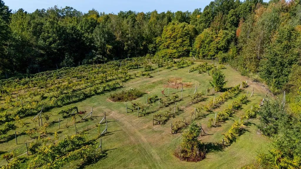 7397 S Pere Marquette Highway Summit Township MI 49449