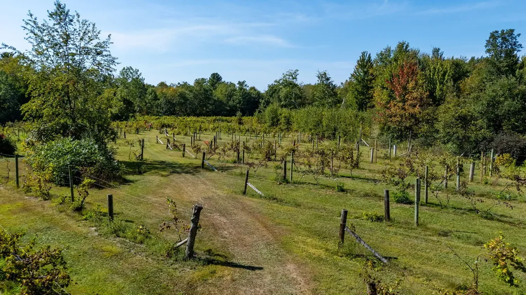 7397 S Pere Marquette Highway Summit Township MI 49449