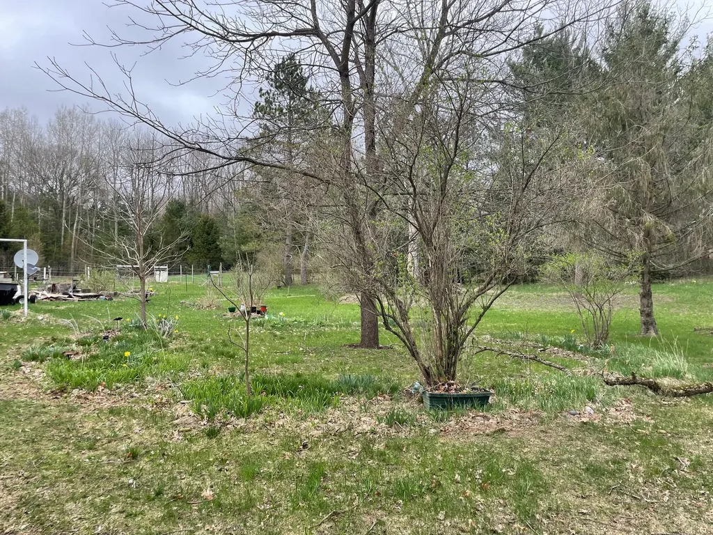 16206 Peters Farm Road Norman Township MI 49644
