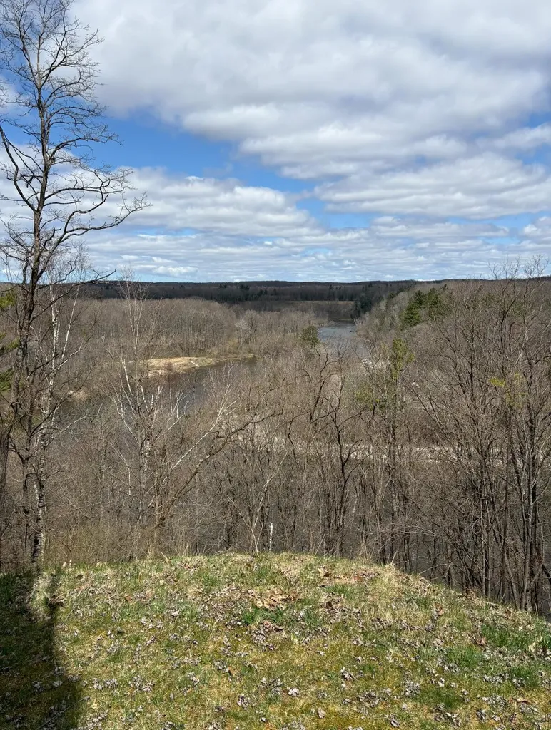 1306 N Tippy Dam Road Dickson Township MI 49689