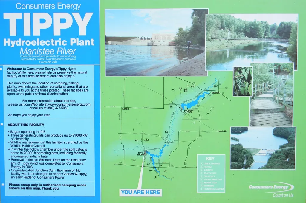 1306 N Tippy Dam Road Dickson Township MI 49689