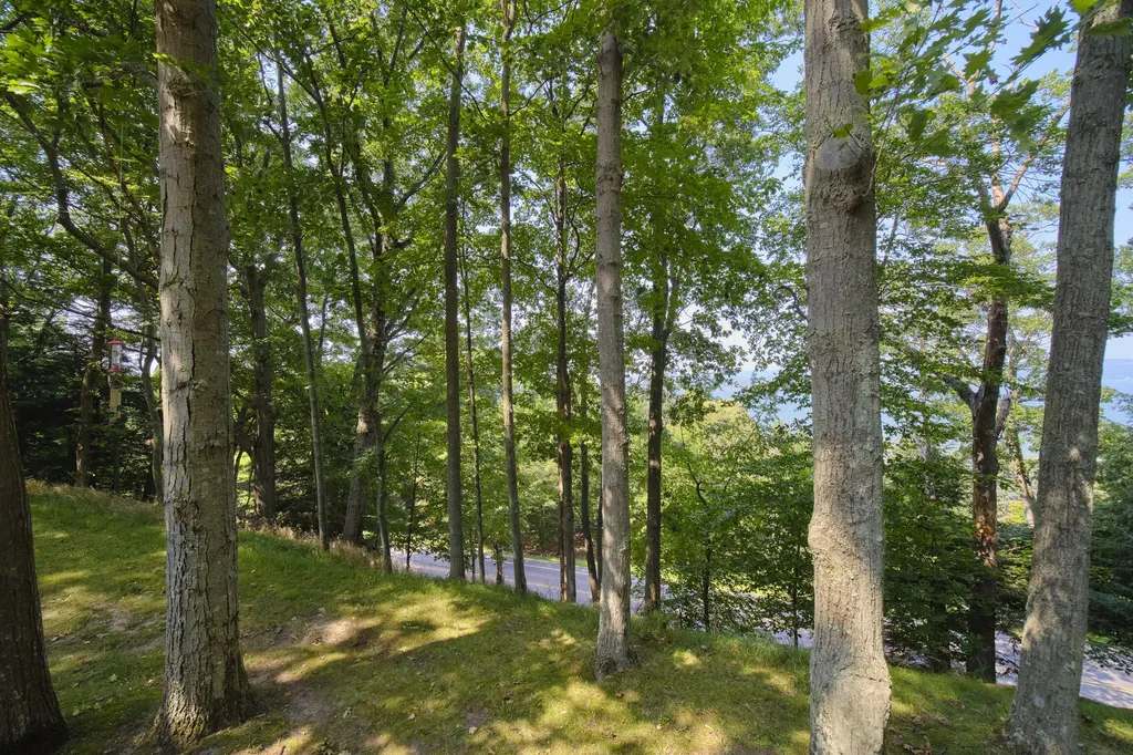 2521 Crescent Beach Road Onekama Township MI 49660