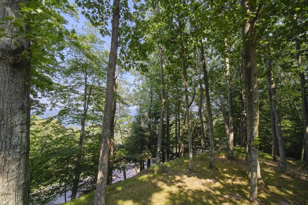 2521 Crescent Beach Road Onekama Township MI 49660
