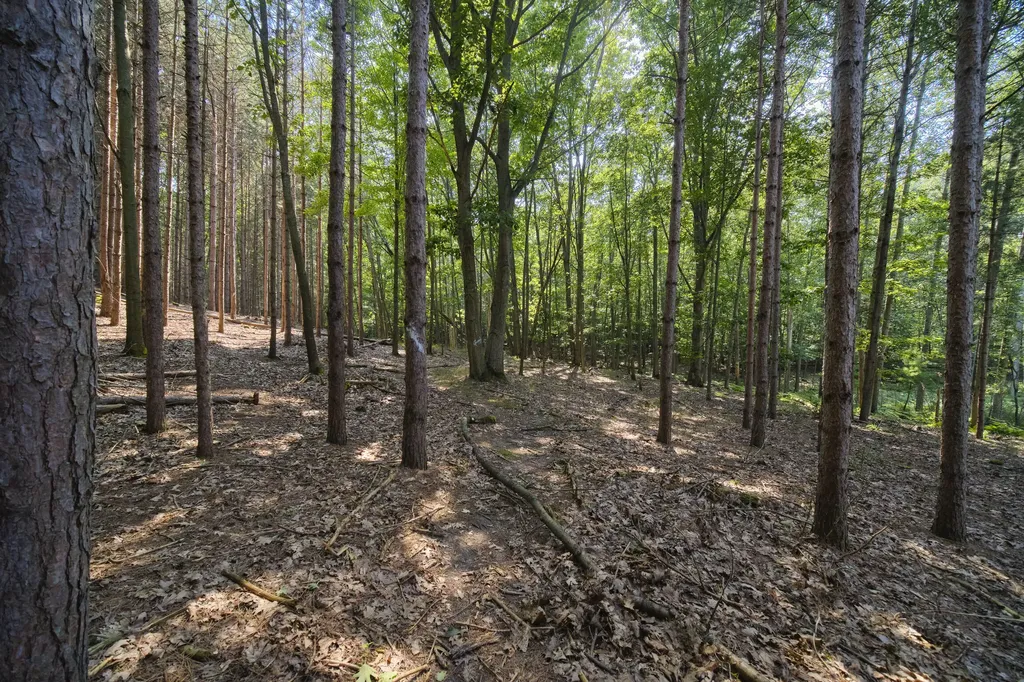 2521 Crescent Beach Road Onekama Township MI 49660