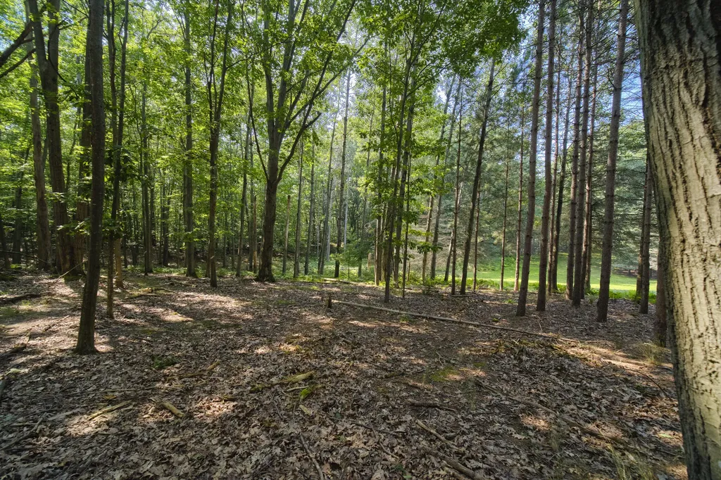2521 Crescent Beach Road Onekama Township MI 49660