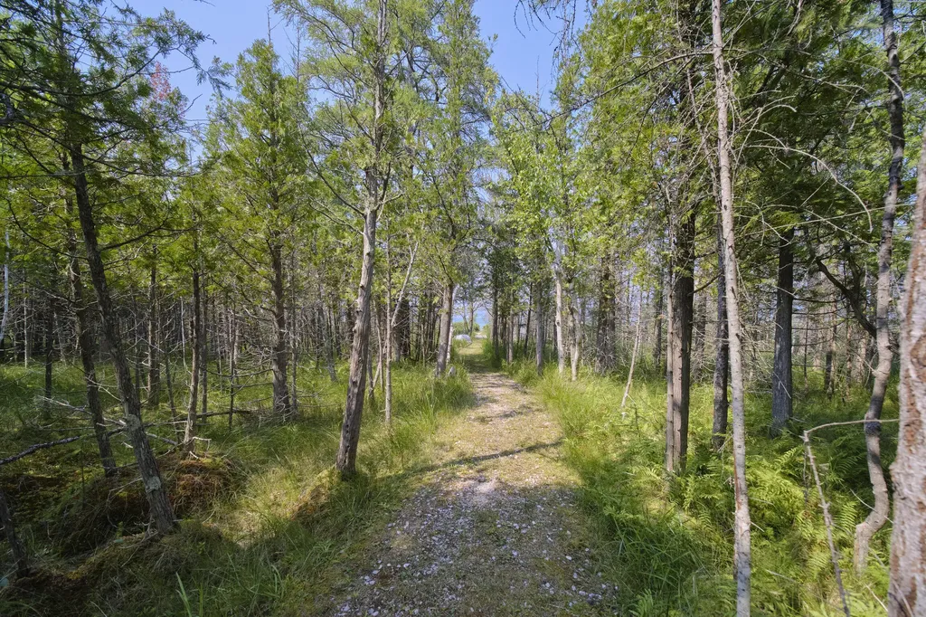 2521 Crescent Beach Road Onekama Township MI 49660