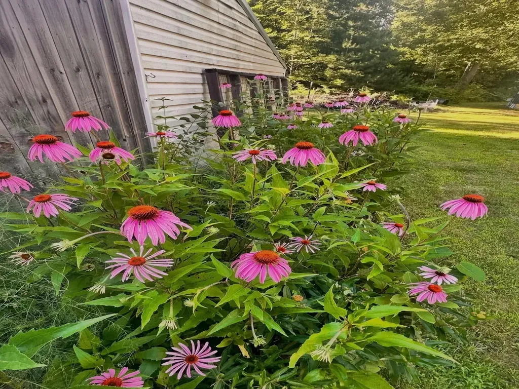 11774 Healy Lake Road Maple Grove Township MI 49614