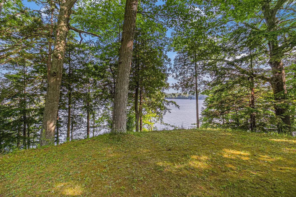 6253 Loggers Lane Hamlin Township MI 49431