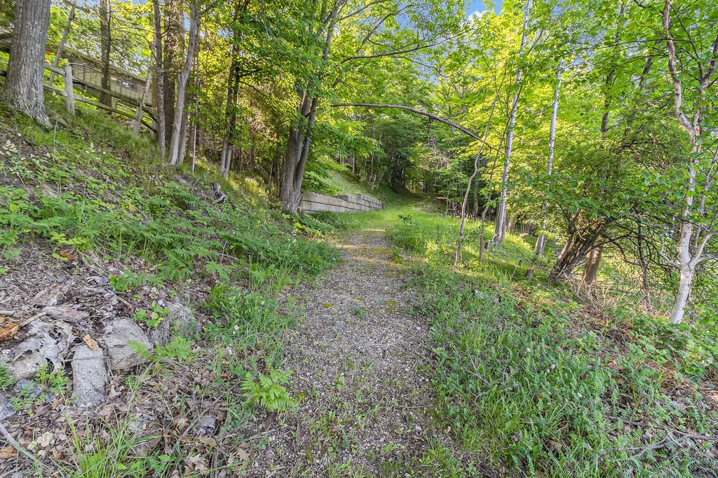 6253 Loggers Lane Hamlin Township MI 49431
