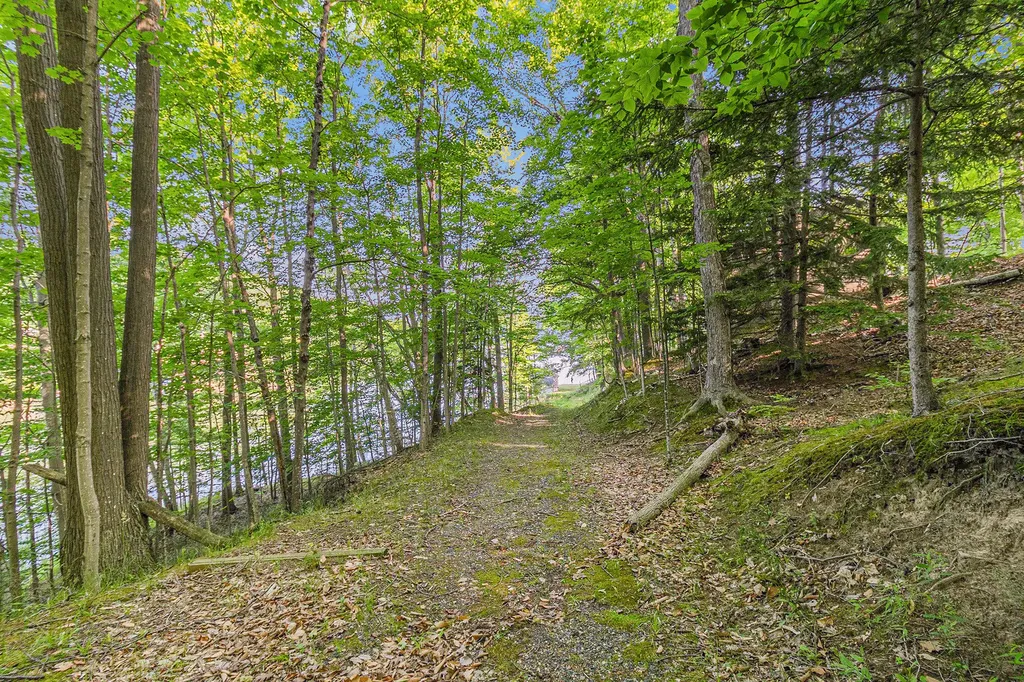 6253 Loggers Lane Hamlin Township MI 49431