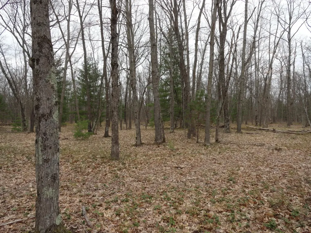 1035 Udell Hills Fire Tower Road Stronach Township MI 49660