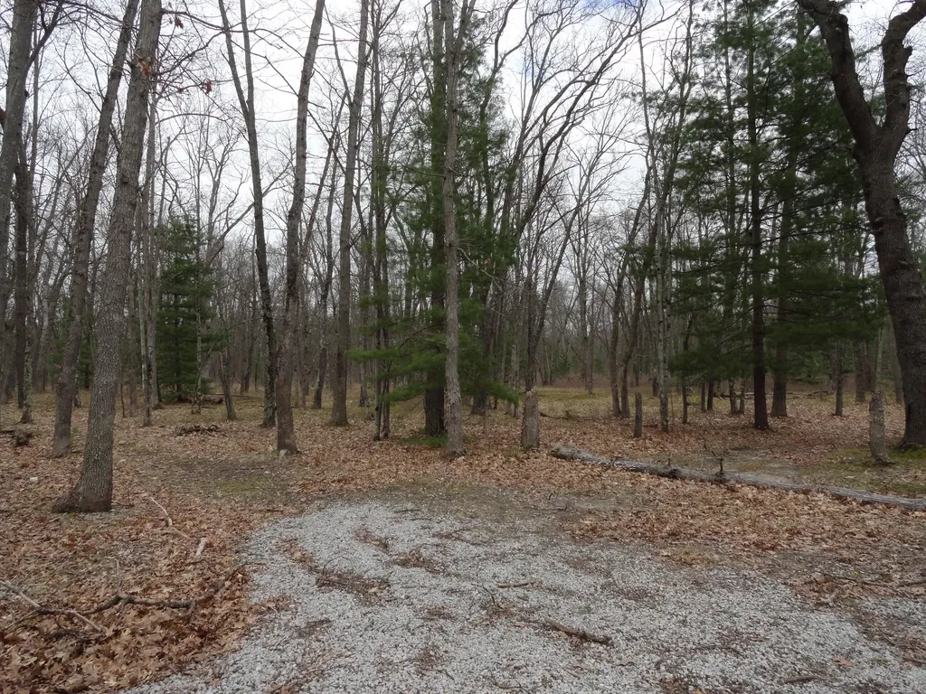 1035 Udell Hills Fire Tower Road Stronach Township MI 49660