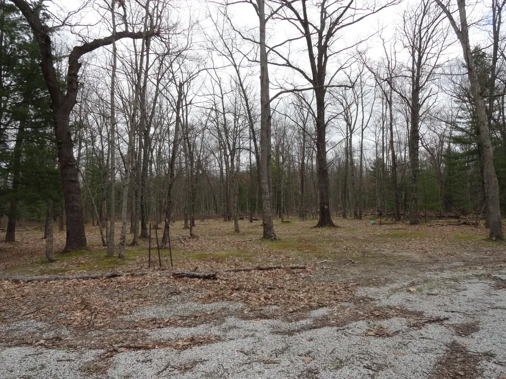 1035 Udell Hills Fire Tower Road Stronach Township MI 49660
