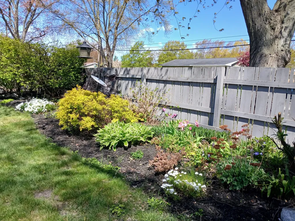 318 N Emily Street Ludington City MI 49431