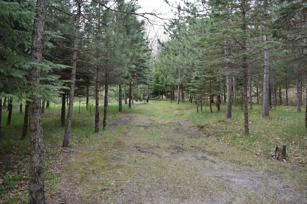3559 E 56th Street Yates Township MI 49623