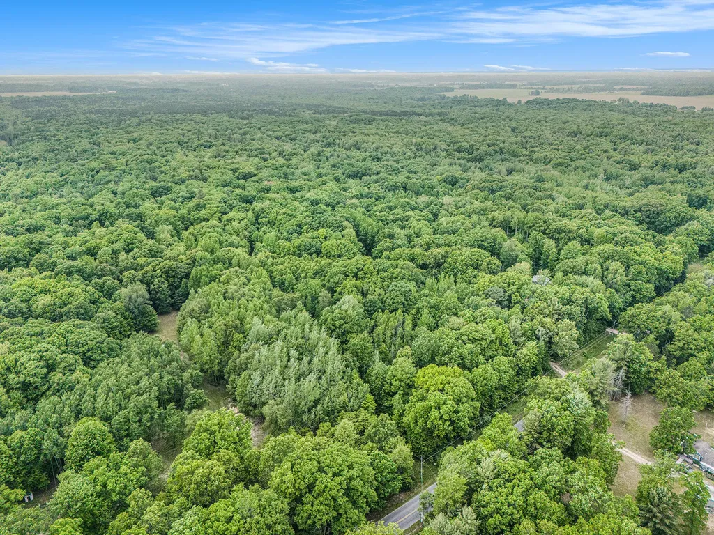 441 N Benson Road Branch Township MI 49410