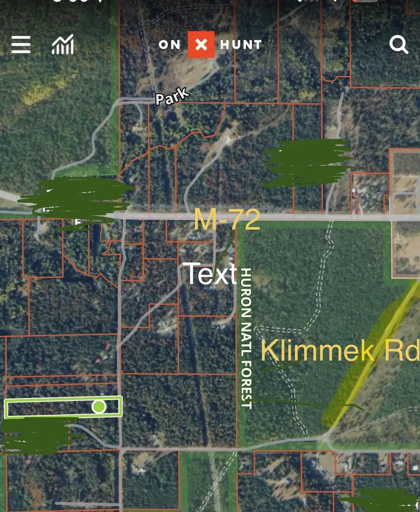 4066 Palmer Road Big Creek Township MI 48636