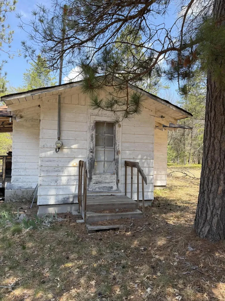 4066 Palmer Road Big Creek Township MI 48636