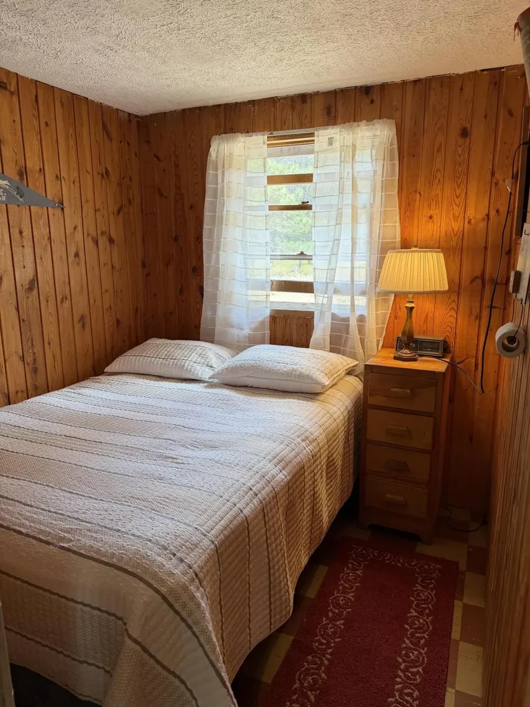 4066 Palmer Road Big Creek Township MI 48636