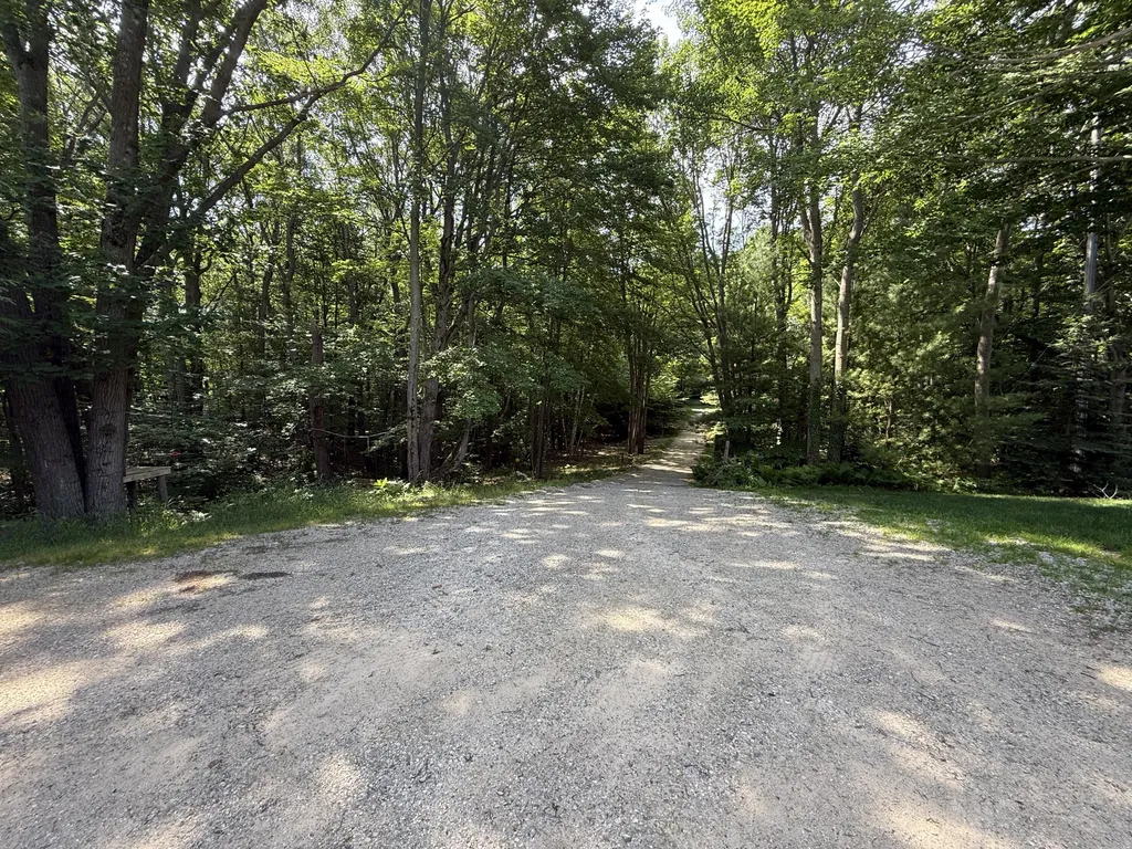 6774 Mears Road Hamlin Township MI 49431