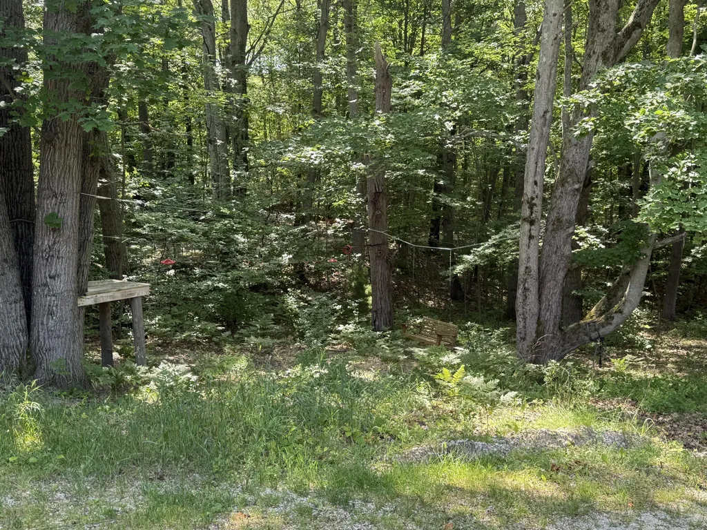 6774 Mears Road Hamlin Township MI 49431