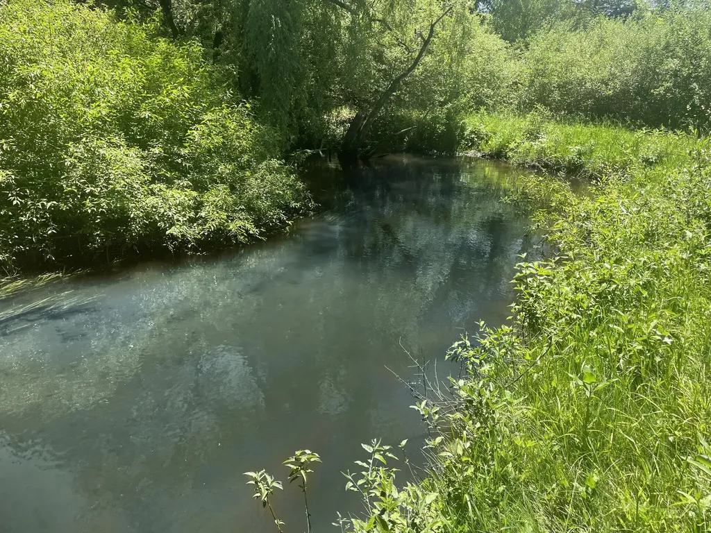 4179 E White River Drive Ferry Township MI 49421