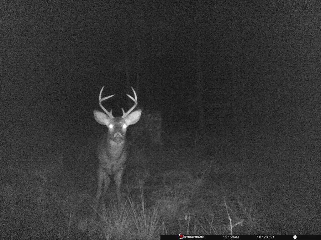 20179 N Coates Highway Dickson Township MI 49619