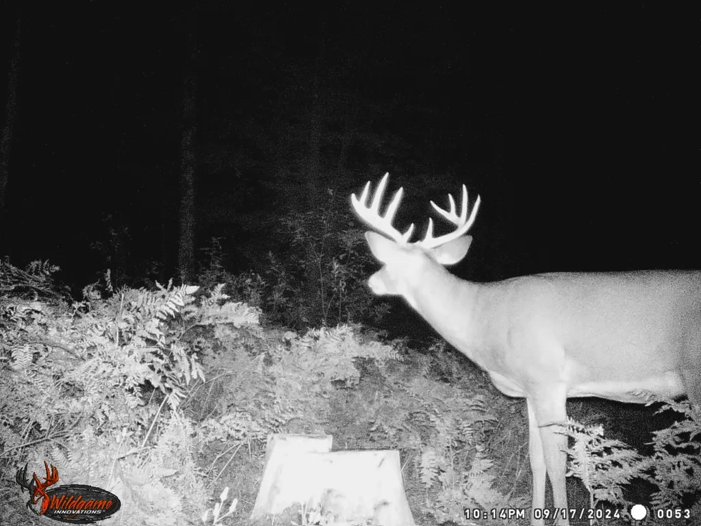 20179 N Coates Highway Dickson Township MI 49619