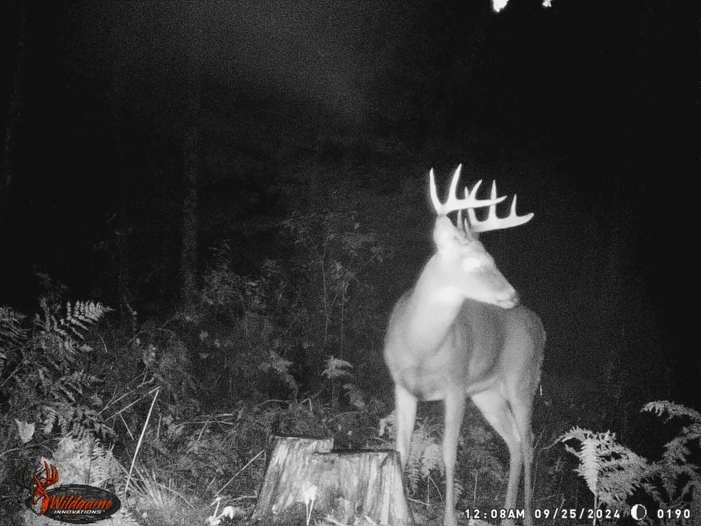 20179 N Coates Highway Dickson Township MI 49619