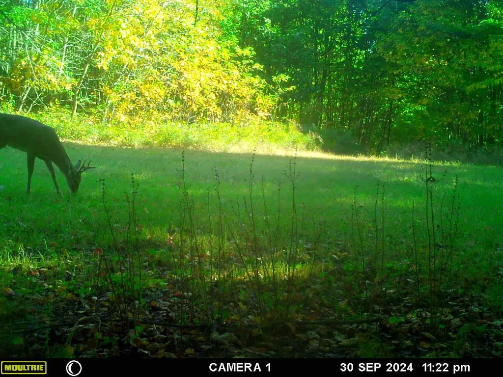 20179 N Coates Highway Dickson Township MI 49619