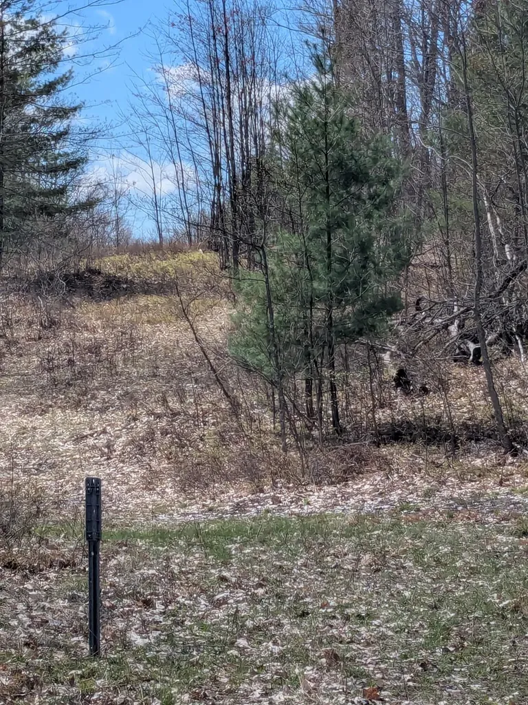 20179 N Coates Highway Dickson Township MI 49619