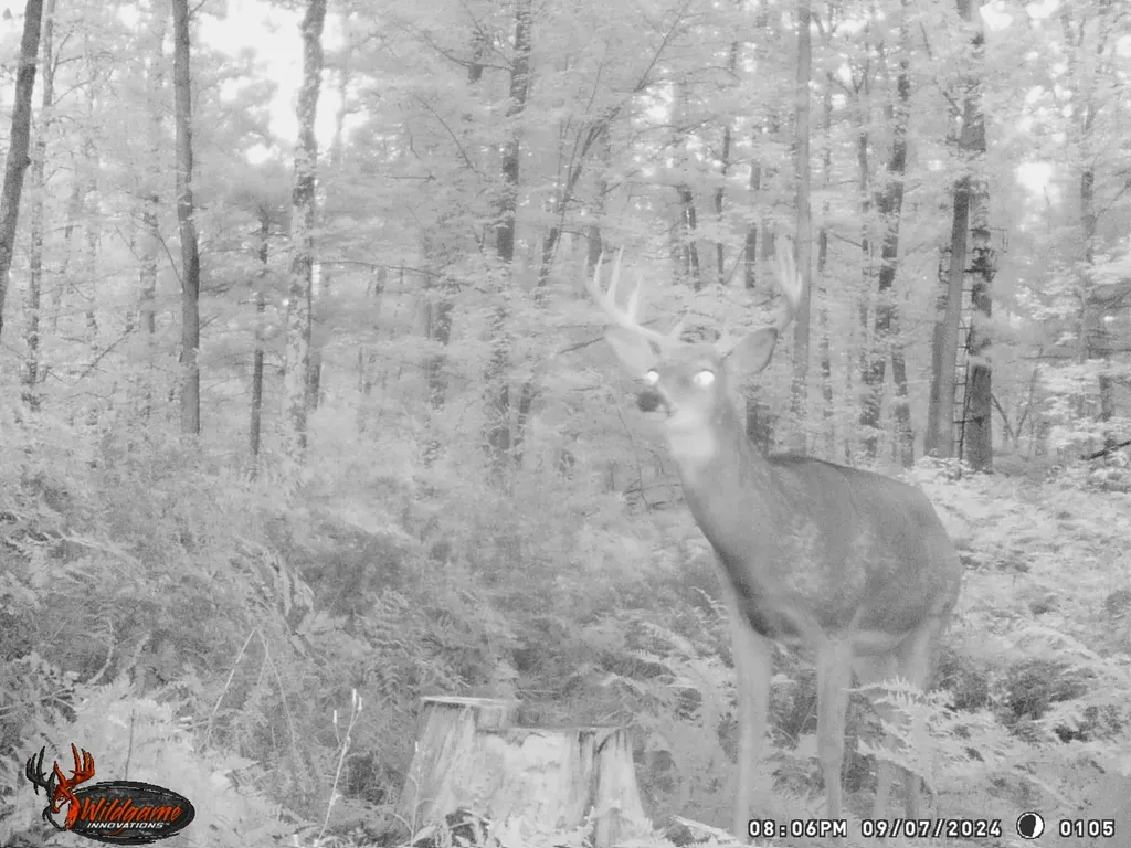 20179 N Coates Highway Dickson Township MI 49619