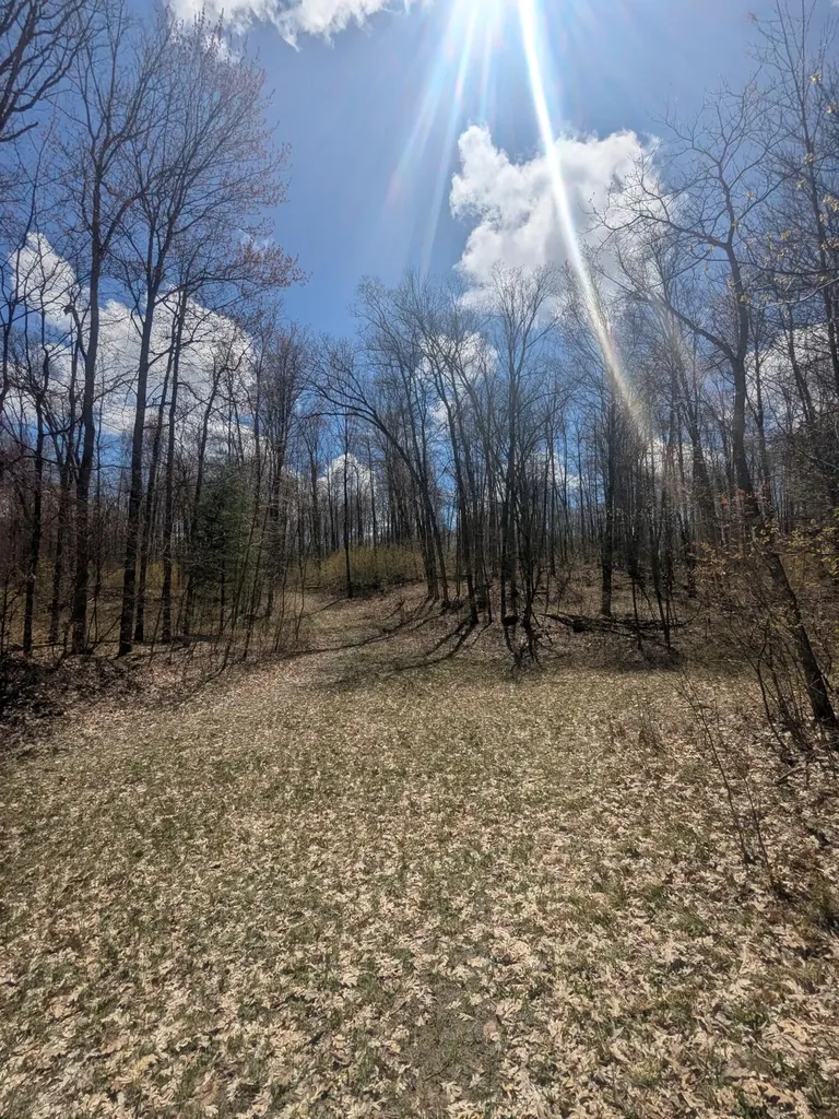 20179 N Coates Highway Dickson Township MI 49619