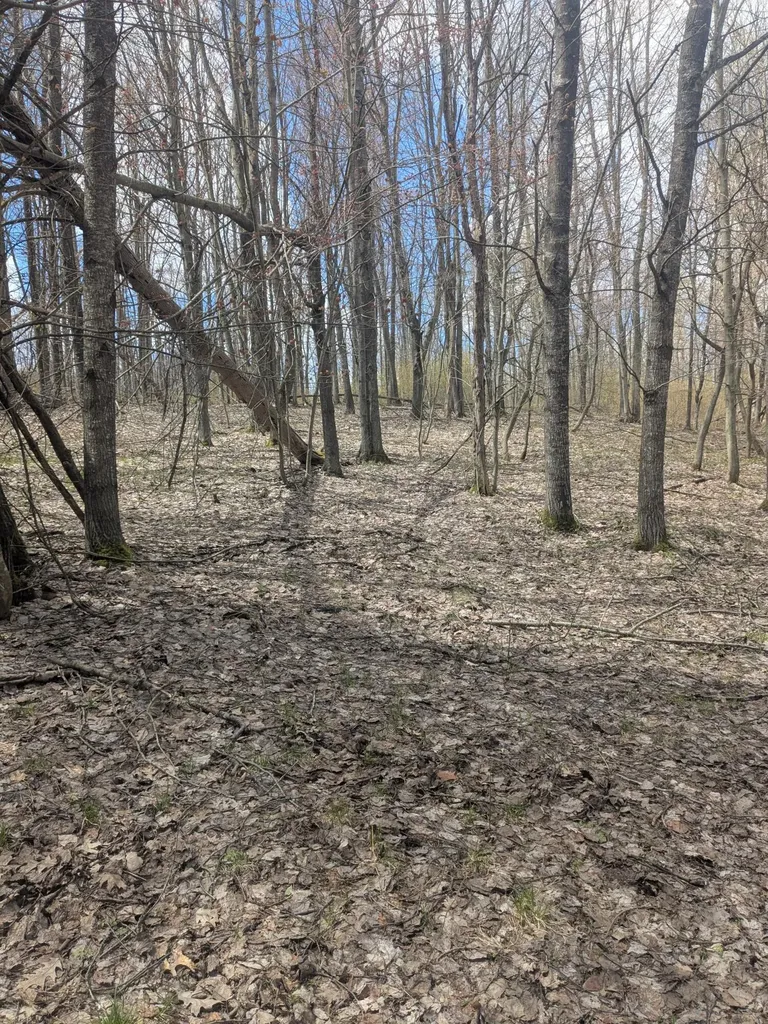 20179 N Coates Highway Dickson Township MI 49619