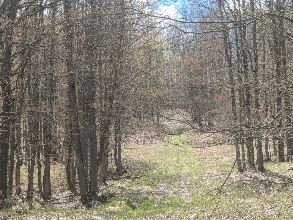 20179 N Coates Highway Dickson Township MI 49619