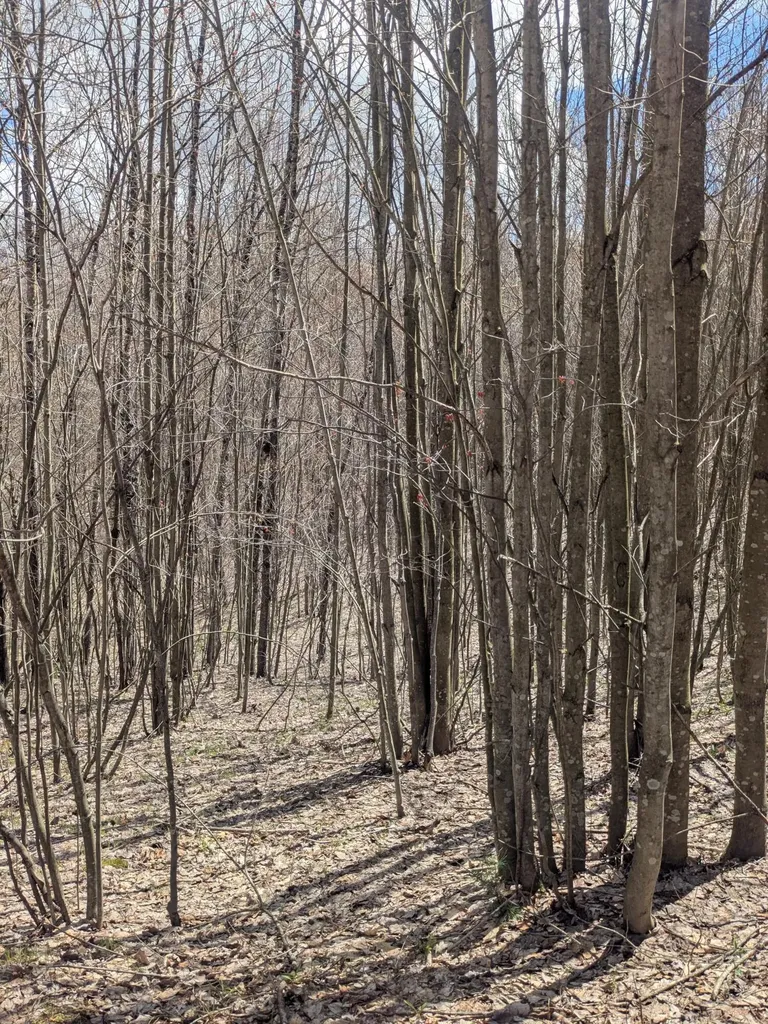 20179 N Coates Highway Dickson Township MI 49619